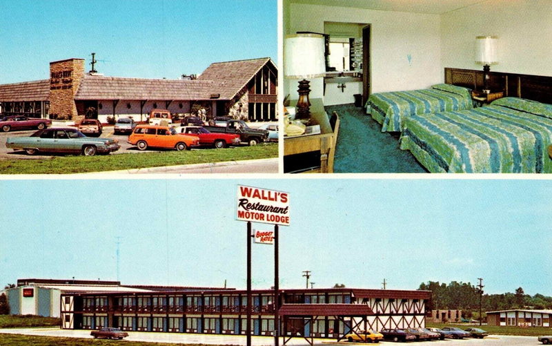 Wallis Drive-In - Postcard